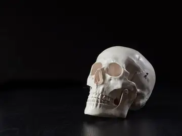 【海賊版サイトの潰し方】漫画海賊版サイト「漫画BANK」に集英社など4社が法的措置へ